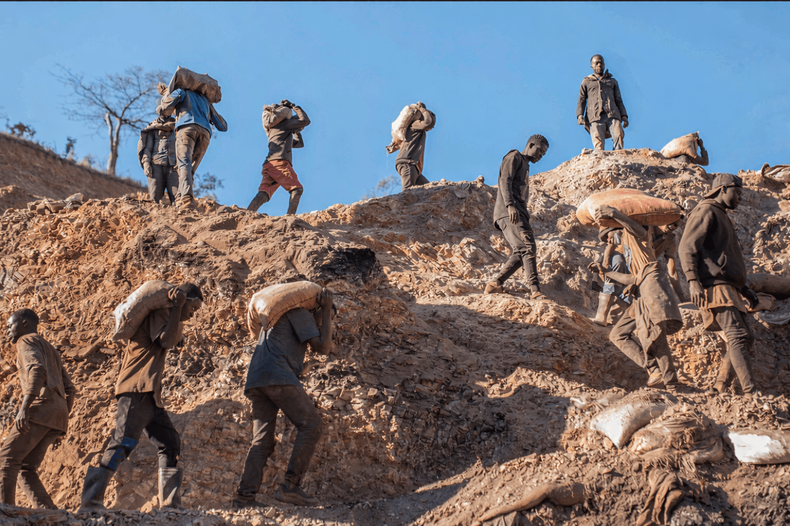 C4D Lessons Learned Paper